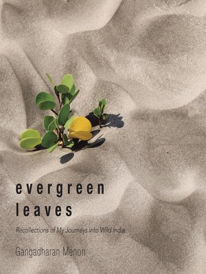 cover image of Evergreen Leaves